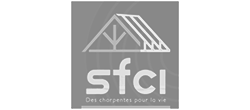 Flexio-client-FSCI